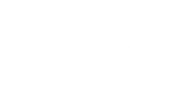 Premium Essence logo